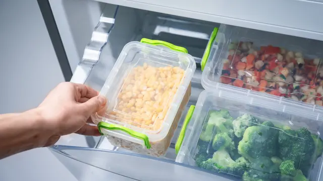 ilustrasi frozen food/Africa Studio/shutterstock