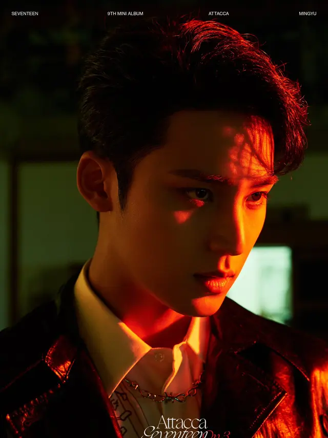 Mingyu Seventeen. (Pledis Entertainment via Soompi)
