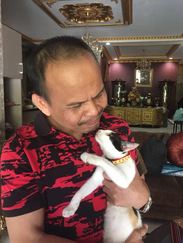 7 potret kedekatan ayah dan kucing