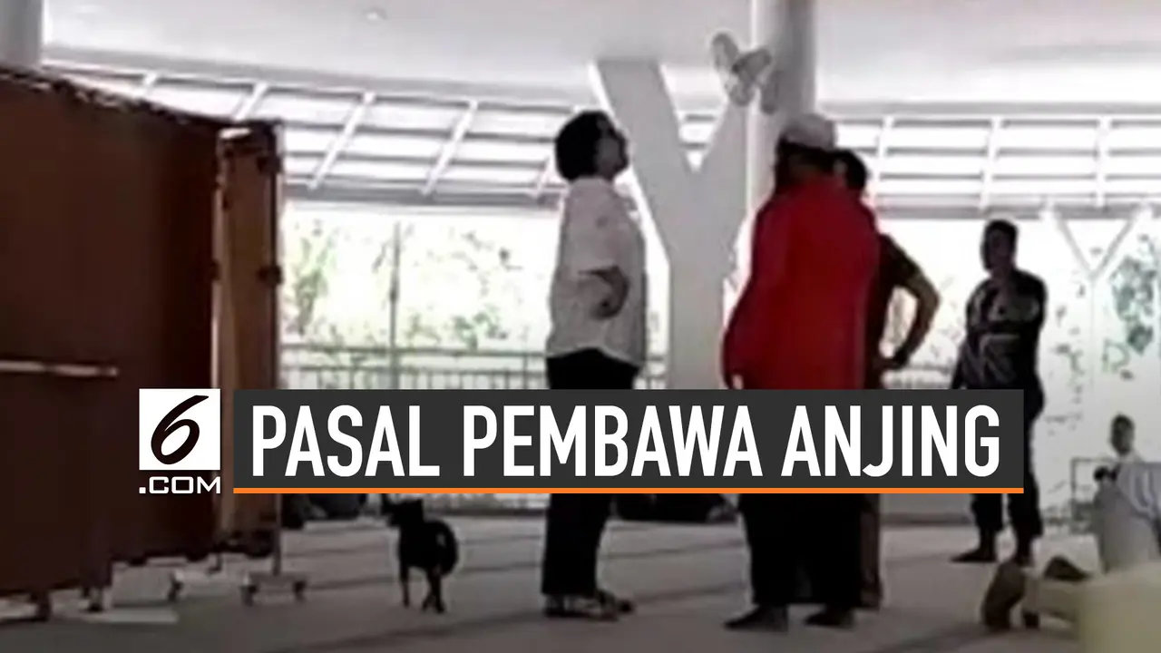 Pasal Yang Mengancam Pembawa Anjing Ke Masjid