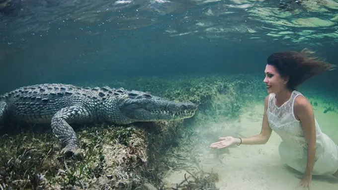 Foto: copyright dailymail.co.uk