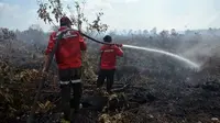 Petugas memadamkan kebakaran lahan di Pulau Rupat, Kabupaten Bengkalis, beberapa waktu lalu. (Liputan6.com/M Syukur)