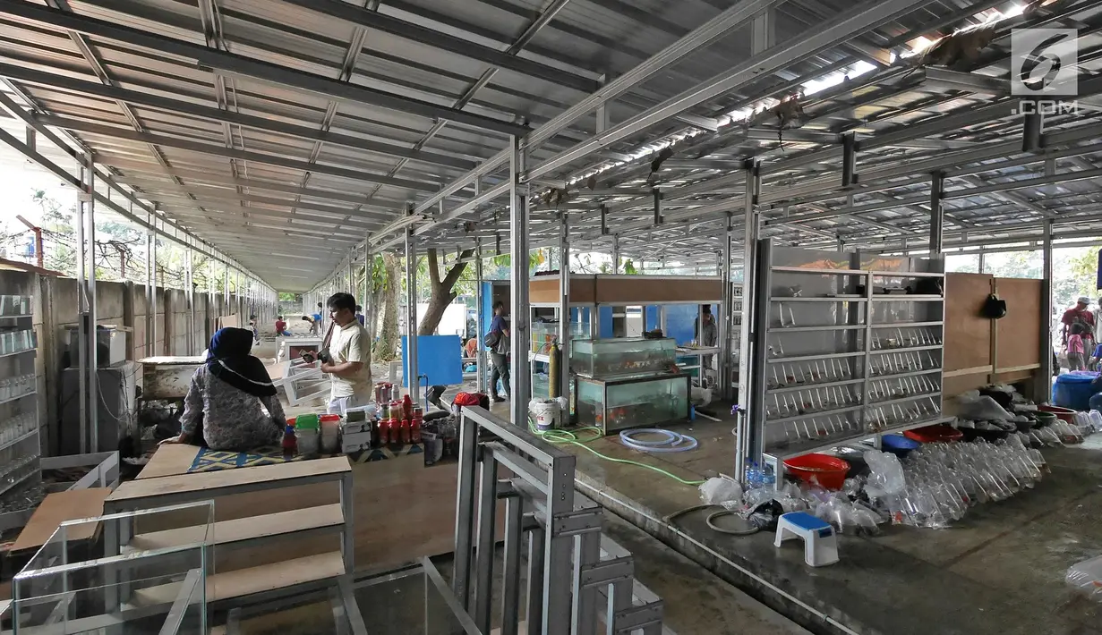 Suasana Bursa Pasar Ikan dan Hewan Jatinegara yang telah direlokasi di kawasan Jatinegara Jakarta, Jumat (21/6/2019). Sejak Senin pedagang ikan hias di Pasar Hewan Jatinegara mulai direlokasi ke Lapangan Jenderal Urip Sumihardjo guna mengembalikan fungsi trotoar. (Liputan6.com/Herman Zakharia)