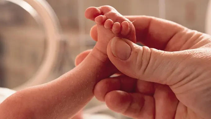 Foto: copyright thinkstockphotos.com