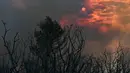 Saat ini, Prancis bersama Spanyol dan Portugal berada dalam status siaga tinggi menghadapi risiko kebakaran hutan besar. (Lionel BONAVENTURE/AFP)