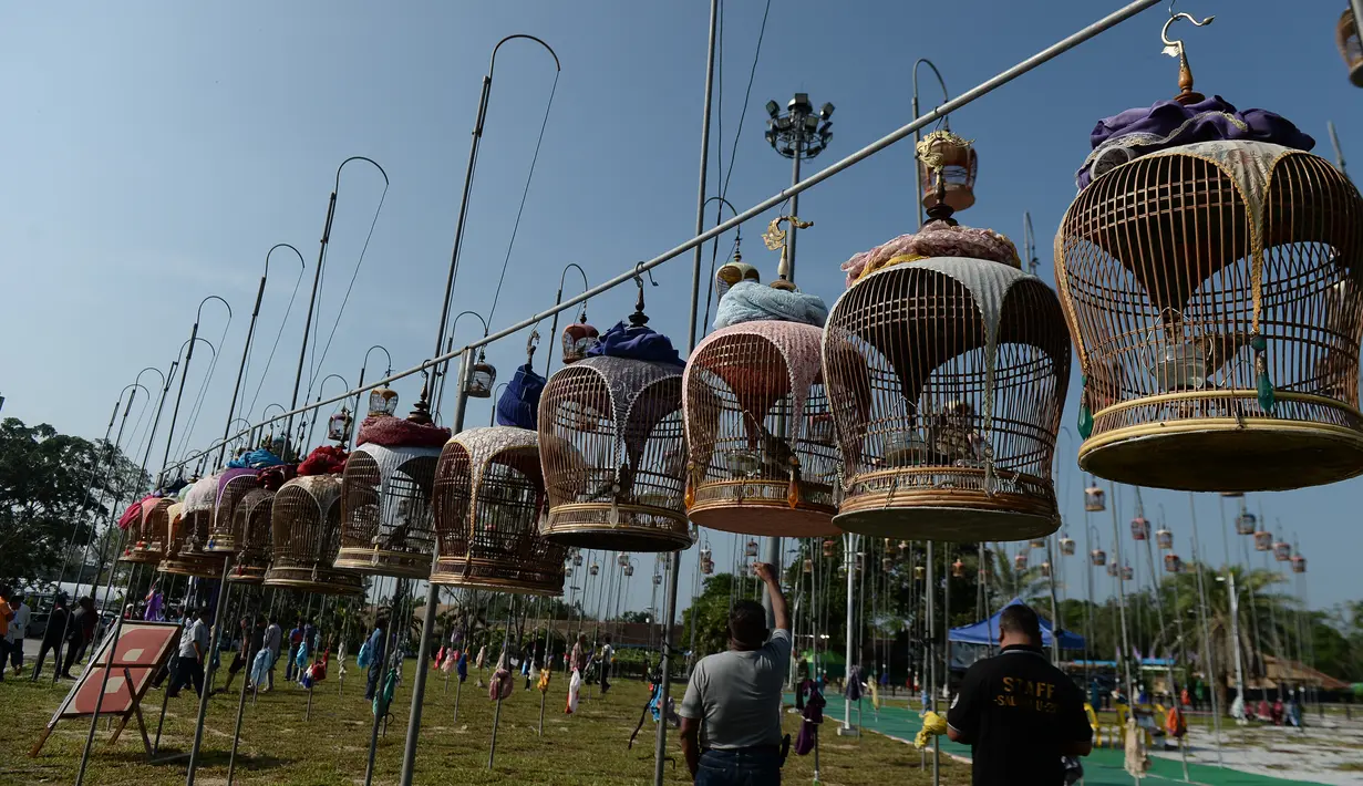 Burung-burung berada dalam kandang selama mengikuti Kontes Burung Berkicau di Provinsi Narathiwat, Thailand, Selasa (25/9). Para pengunjung akan mendengarkan alunan suara burung sambil melihat sangkar-sangkar yang indah. (AFP/Madaree TOHLALA)