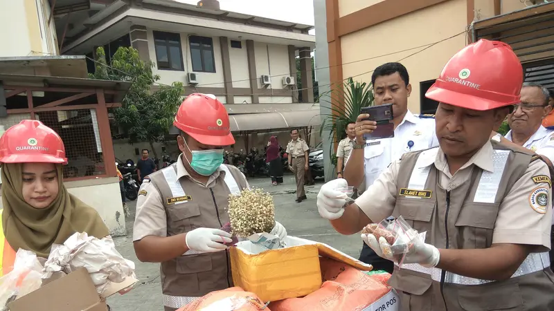 Awas, Benih Tanaman Asing Berbahaya Menyelundup Masuk Jawa Timur 