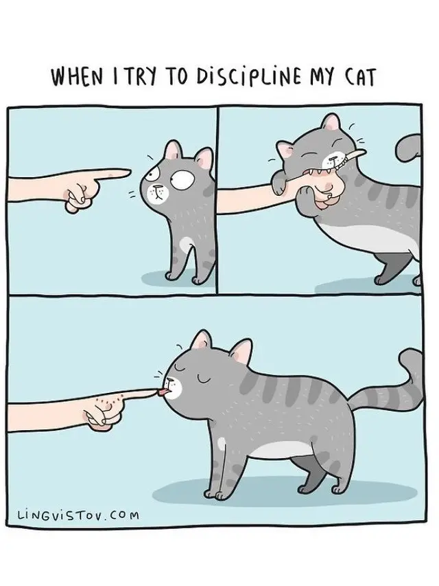 6 Ilustrasi Komik Suka Duka Pelihara Kucing Ini Bikin Gemas