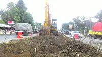 401 Pohon di Bogor Ditebang Imbas Proyek Tol BORR