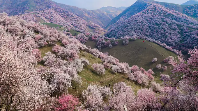 Tuergen, Xinyuan, Tiongkok