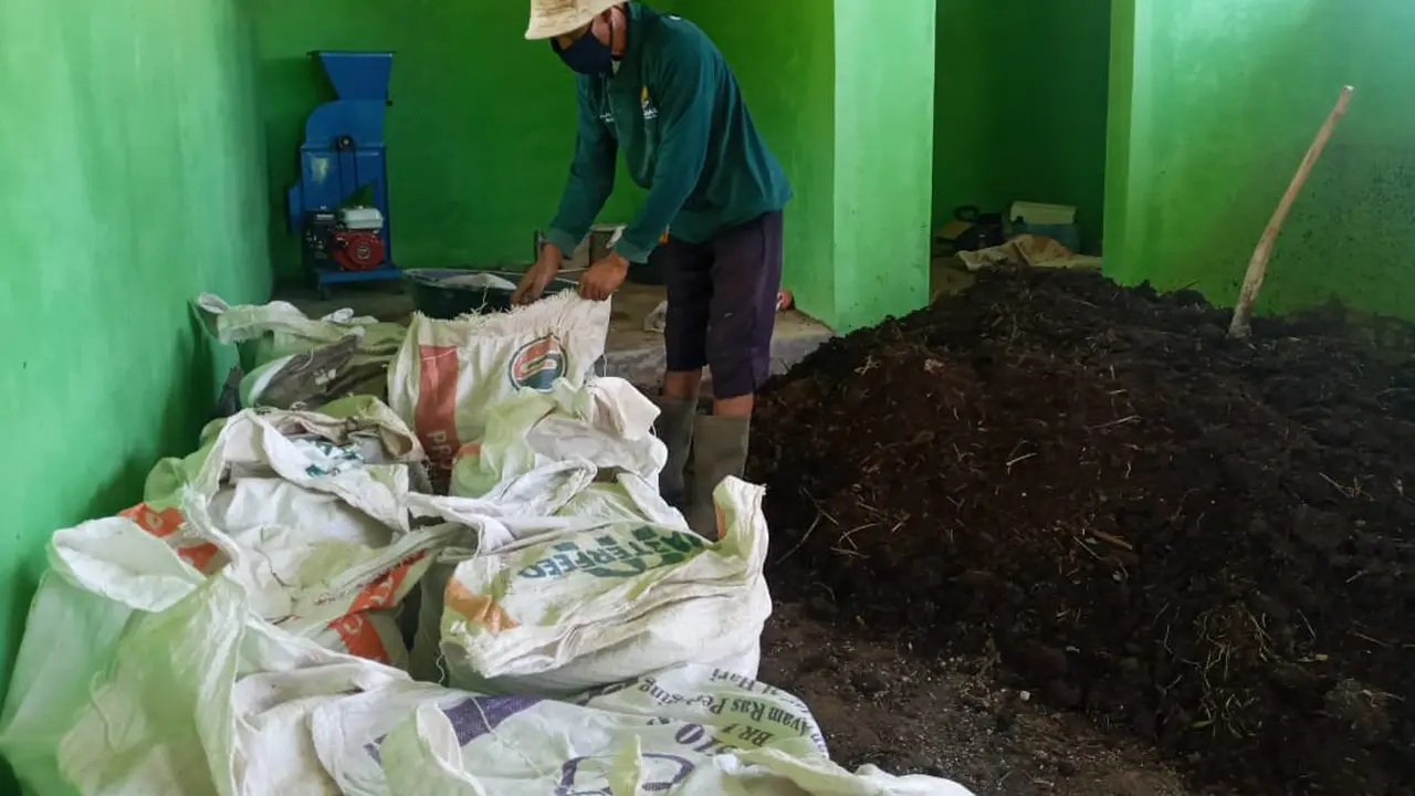 Peternak Mustahik BAZNAS Olah Kotoran Ternak Jadi Bernilai Ekonomis
