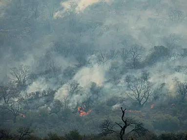 Kebakaran hutan terlihat di San Marcos Sierra, provinsi Cordoba, Argentina, pada 23 September 2024. (STRINGER/AFP)