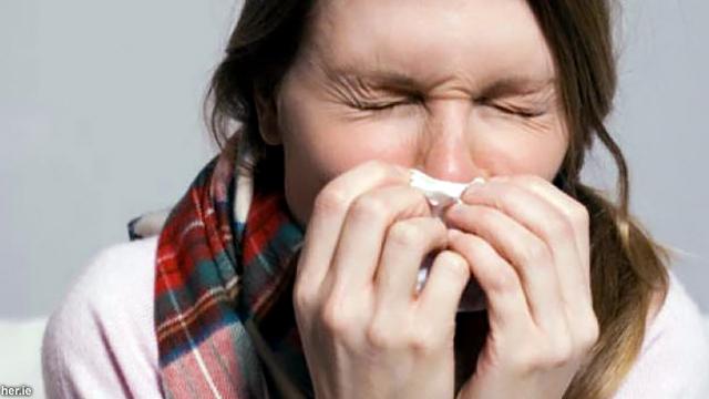 Influenza Ketika Sistem Pernapasan Terinfeksi Virus Health Liputan6 Com
