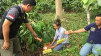 Adegan rekonstruksi tersangka membuang bayinya di semak kebun kopi (Liputan6.com/Nefri Inge)