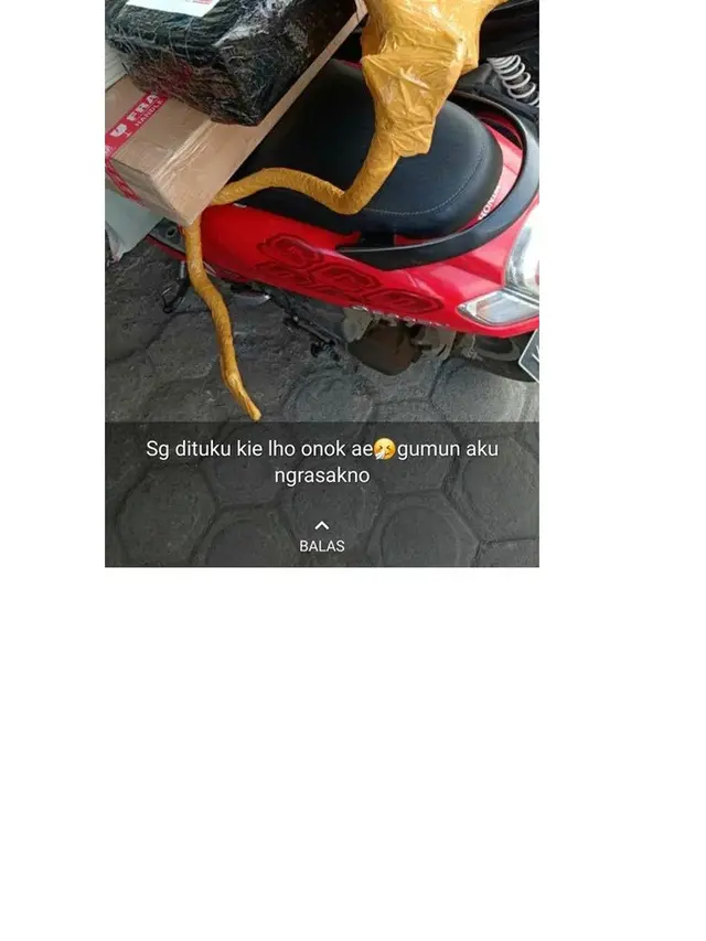 7 Potret Nyeleneh Bungkusan Paket Barang Ini Bikin Kurir Heran