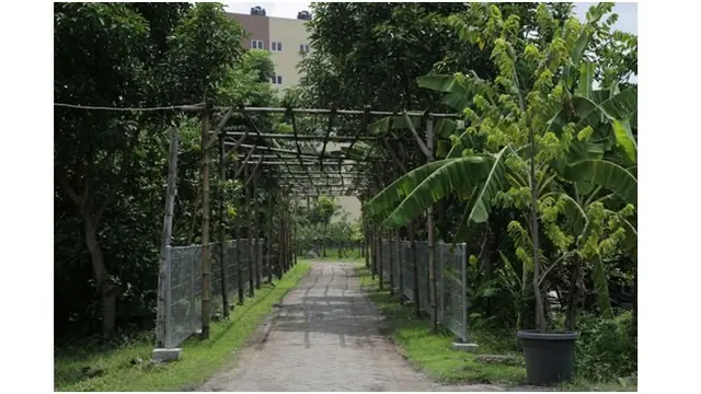 Hutan Kota Balas Klumprik