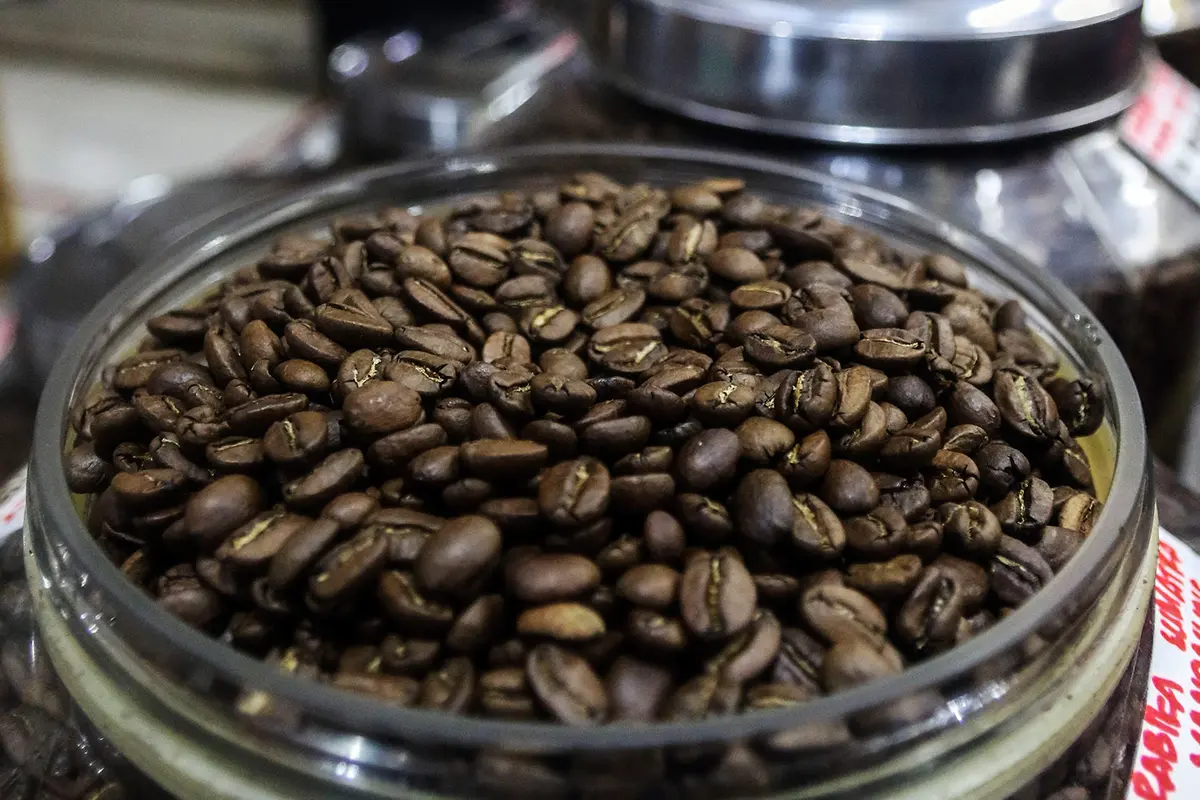 Kopi Malabar