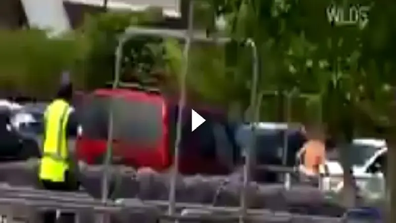 Wanita hamil tabrak pencuri di tempat parkir (Foto: Ist)