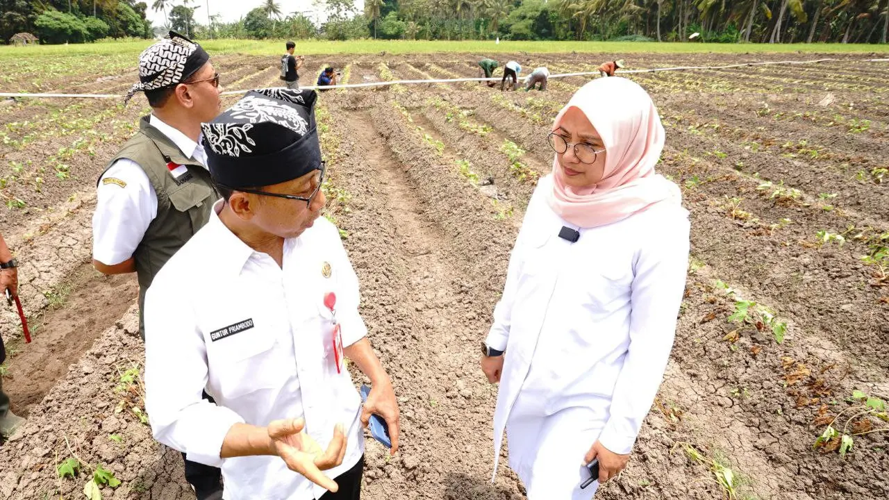 Bupati Ipuk Cek Ketersediaan Air di Kawasan Pertanian
