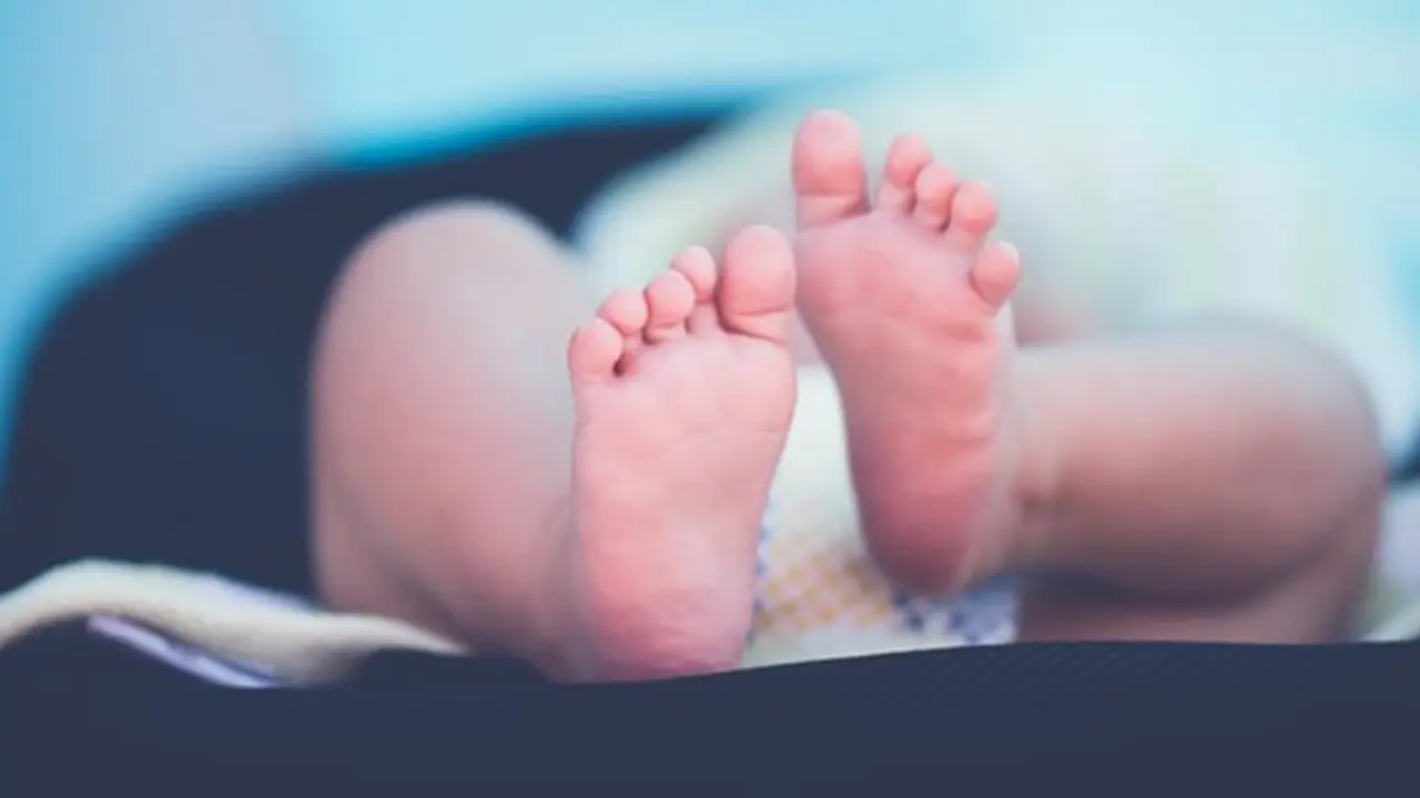 copyright by Pexels.com