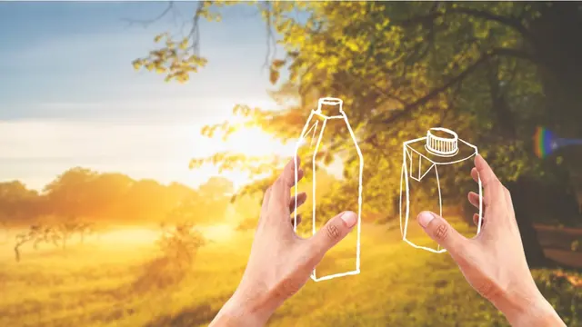 Cara Membantu Melestarian Hutan agar Hidup Lebih Nyaman/dok. SIG