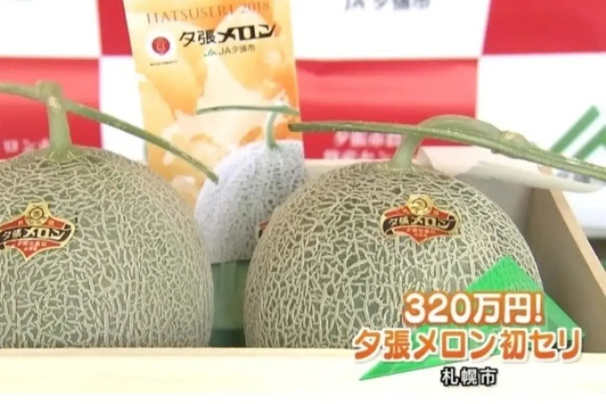 Yubari King, melon seharga mobil mewah (elitereaders)