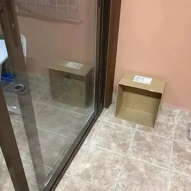 6 Potret Benda Nyeleneh di Depan Pintu dan Jendela Ini Sukses Bikin Terkejut