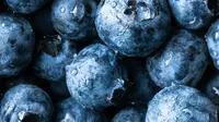 Blueberry terberat di dunia tumbuh di Australia. (Unsplash/Melissa Belanger)
