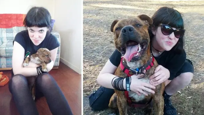 [Bintang] anjing tumbuh dengan cepat