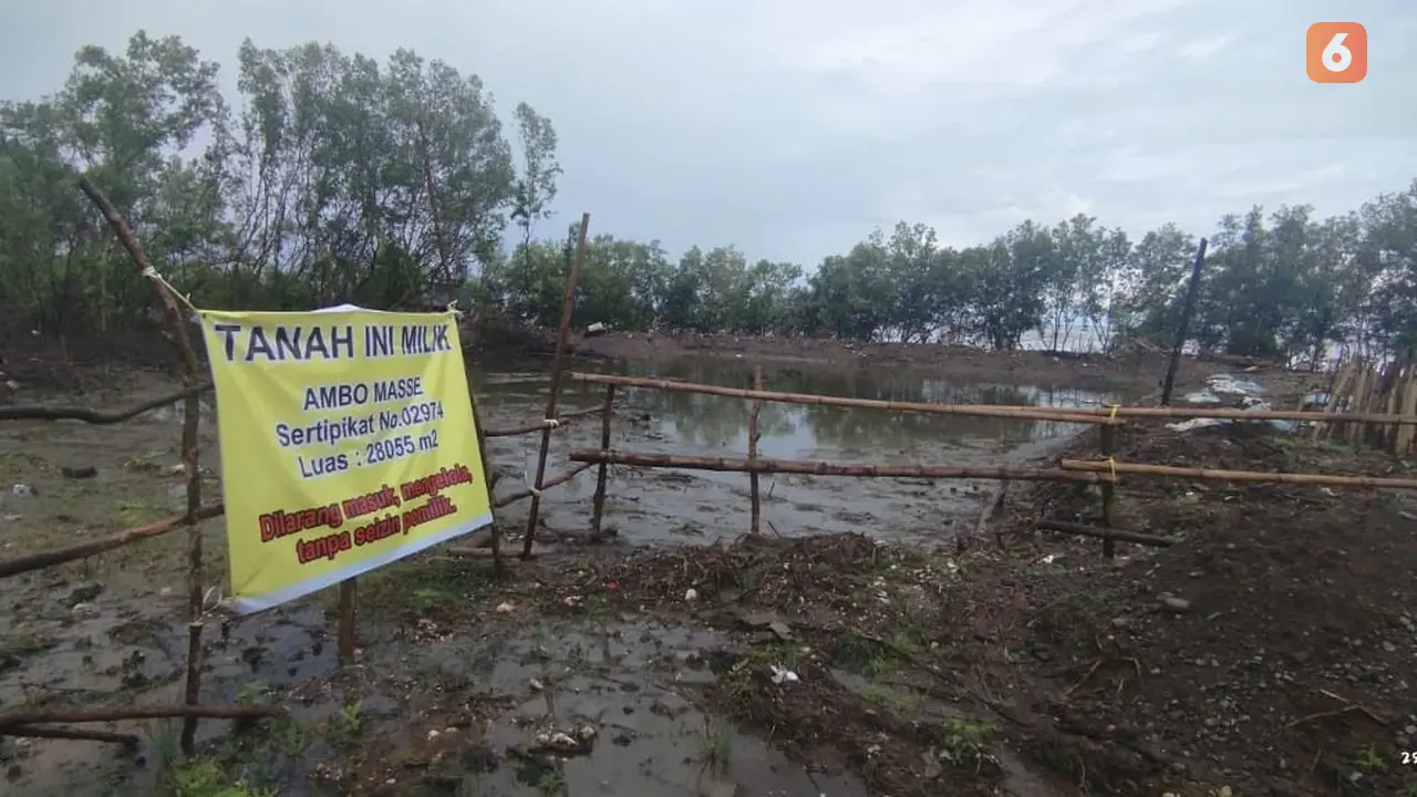 Kawasan Hutan Mangrove yang terletak di Desa Nisombalia, Kecamatan Marusu, Kabupaten Maros, Sulsel tampak gundul.(Liputan6.com/Ahmad Yusran)