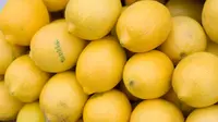 Berbagai Manfaat Lemon yang Perlu Diketahui