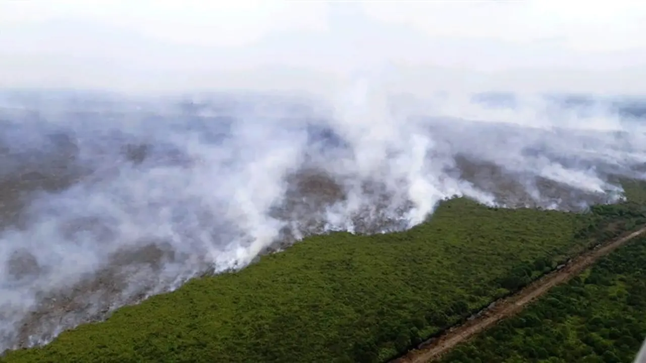 Kebakaran Hutan