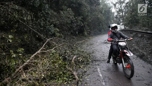 Sunyi Senyap, Pohon Tumbang dan Abu Vulkanik Selimuti Akses Jalan Dusun Sogra