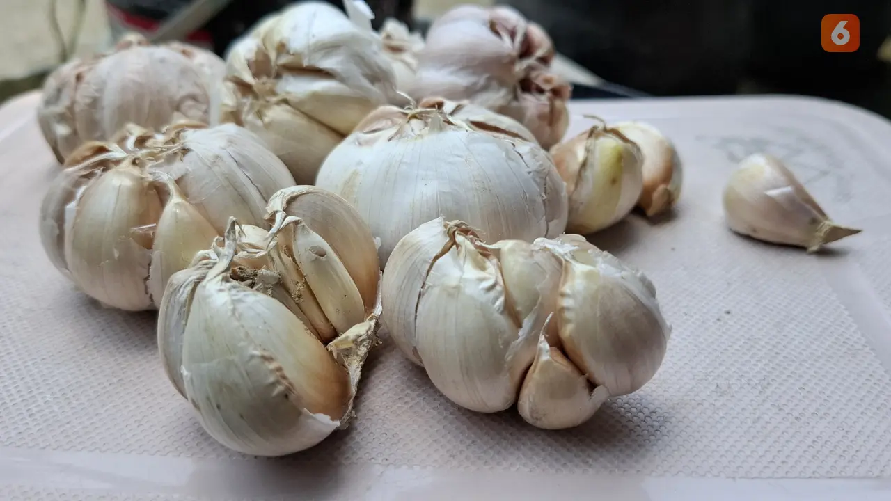10 Manfaat Bawang Putih Mentah Bagi Tubuh Manusia
