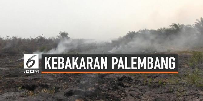 VIDEO: Sempat Hujan, Kini Titik Api di Palembang Bertambah