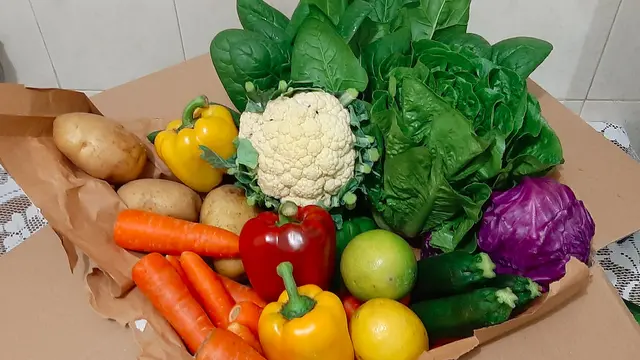 Komoditas Cibodas Family Farm