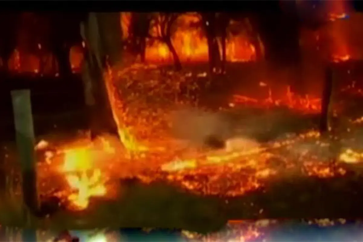 Jendela Dunia: Ribuan Hektar Lahan Terbakar di Australia