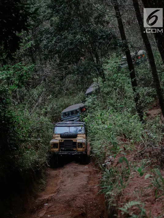 Sejumlah mobil offroad 4x4 klasik Land Rover melewati hutan pinus menuju trek Sukawana-Cikole di Kab Bandung Barat, Jawa Barat, Jumat (19/10). Wisata offroad di Kab Bandung Barat ini memiliki panjang trek 18 km. (Liputan6.com/Faizal Fanani)
