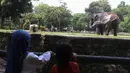 Guna mengantisipasi lonjakan pengunjung saat libur panjang akhir pekan, pengelola Taman Margasatwa Ragunan, Jakarta, sudah menambah pintu masuk. (Kapanlagi.com/Budy Santoso)
