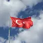 Ilustrasi bendera Turki (pixabay)