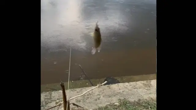 Spot Mancing di Danau Buatan Rumbai Pekanbaru/ TikTok @penghuni.parit