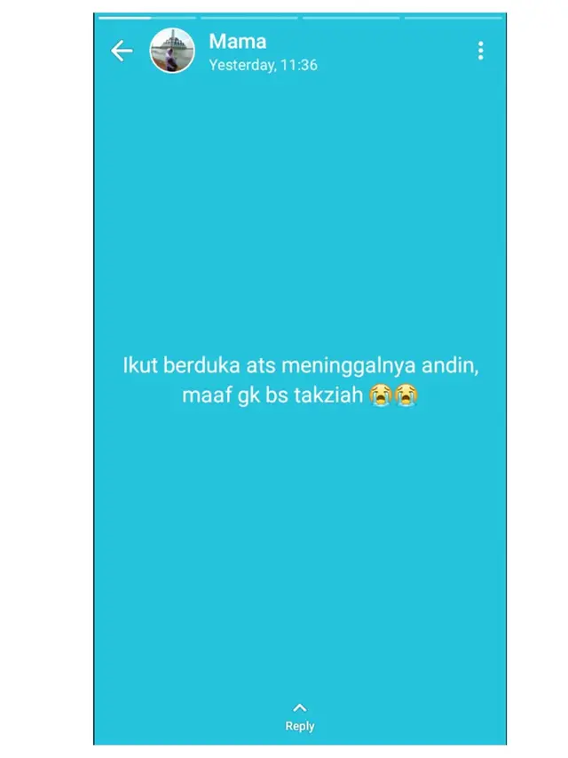 6 Status WA Emak-Emak Sedih Andin 'Ikatan Cinta' Meninggal, Bak Ditinggal Keluarga