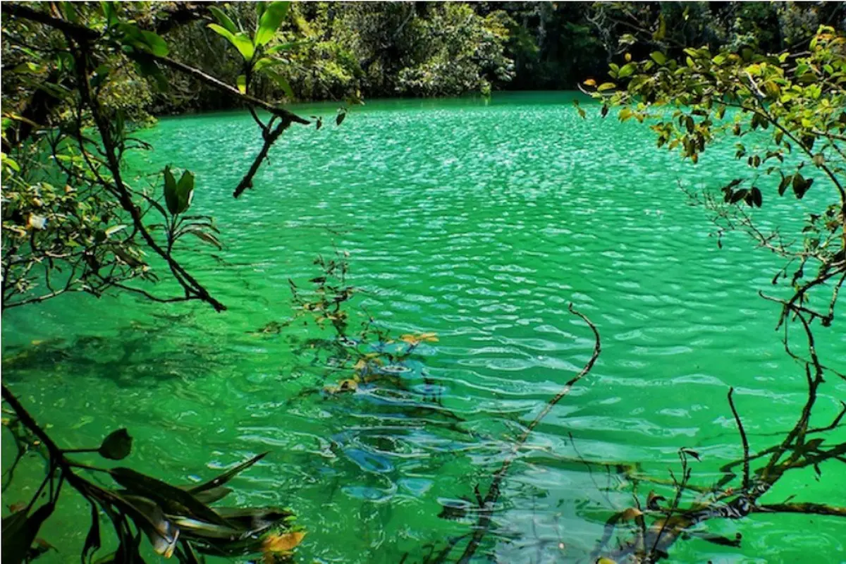 Selain Raja Ampat, Keajaiban Lain Masih Ada di Bumi Papua