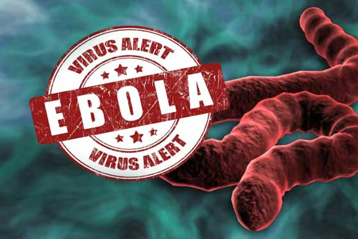 Ilustrasi Virus Ebola