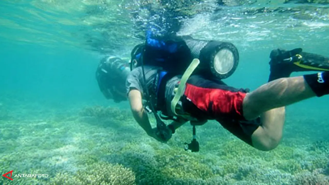 wisata-bahari-140202b.jpg