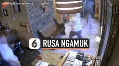 RUSA NGAMUK