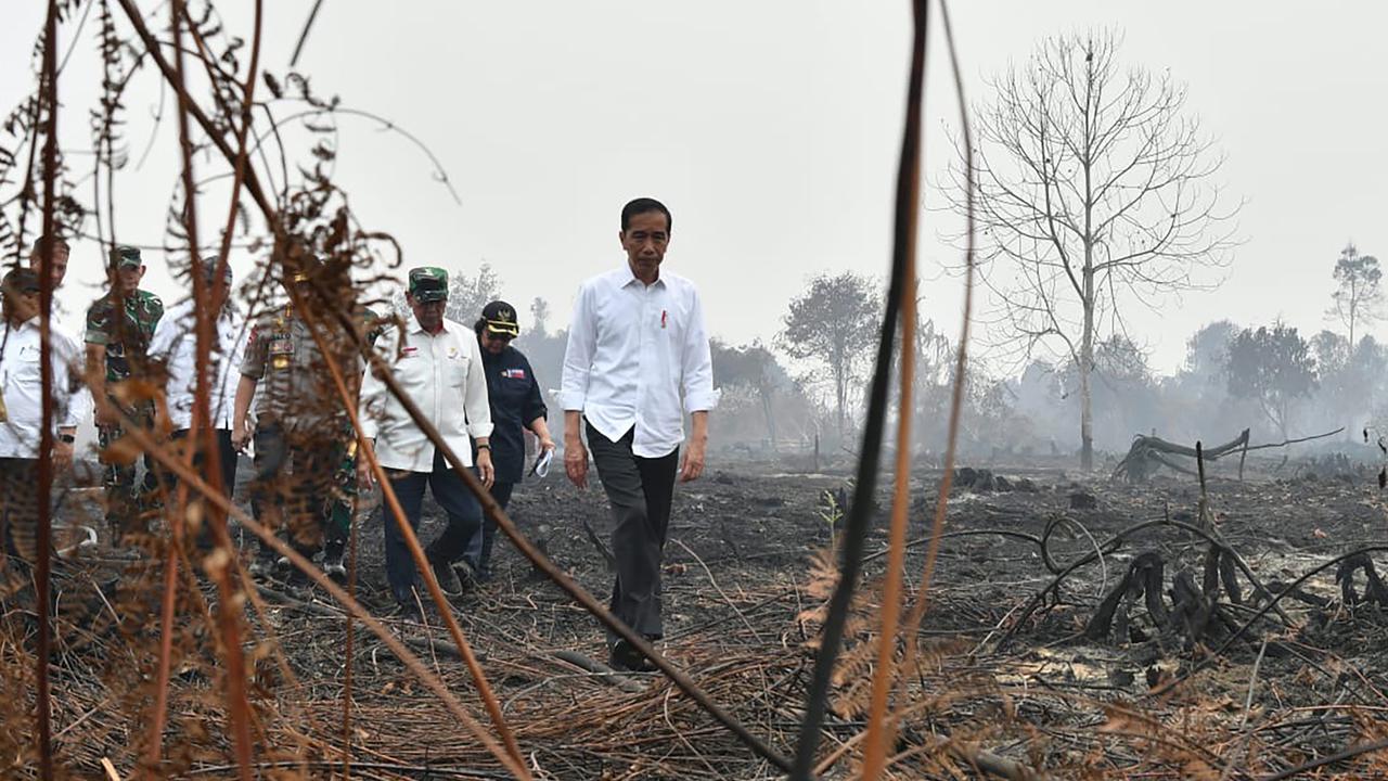 anpa Masker, Jokowi Tinjau Lokasi Kebakaran Hutan di Pekanbaru
