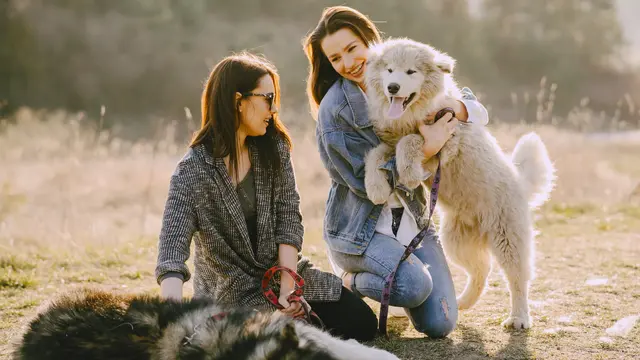Pet Owners