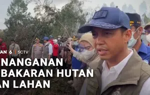 Menteri Kehutanan Cek Penanganan Karhutla di Kalimantan