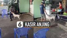 Sementara majikan menyiapkan pesanan, sang anjing ditugaskan sebagai kasir.